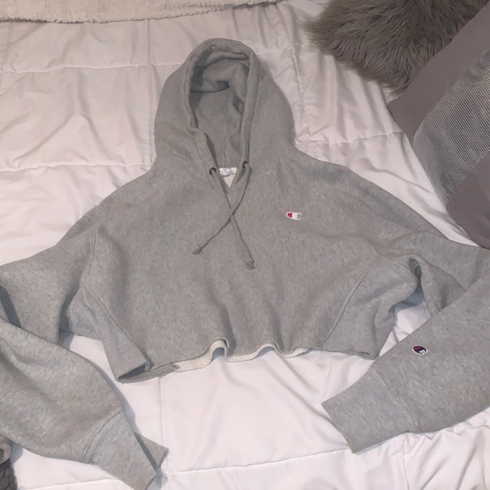 cropped gray hoodie from Champion